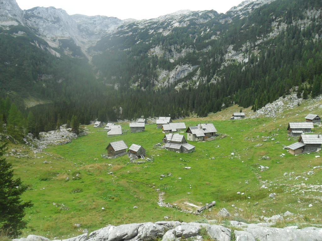 Farmhouse Pri Miklavu Бохінь Екстер'єр фото