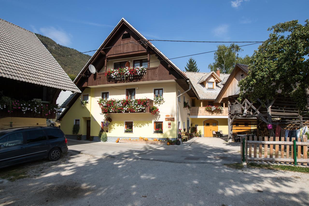 Farmhouse Pri Miklavu Бохінь Екстер'єр фото